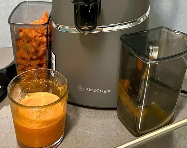 AMZChef Slow Juicer Review: Affordable Masticating Juicer Tested-Model SJ-036