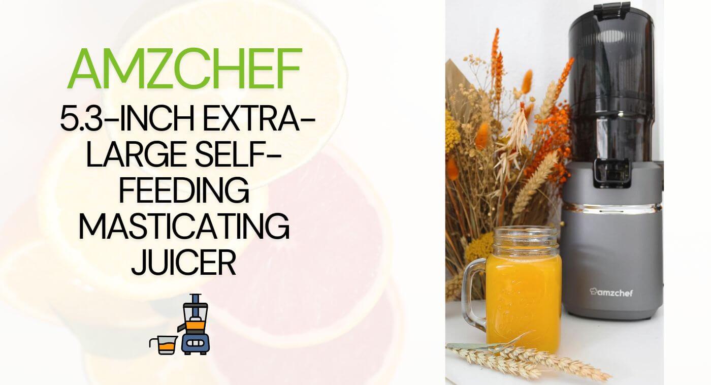Amzchef 5.3-Inch Extra-Large Self-Feeding Masticating Juicer