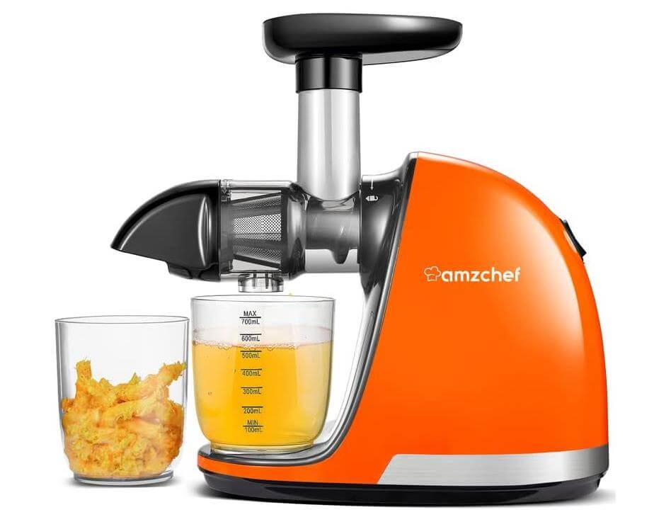 Best Budget Slow Juicer Extractor Professional Juice Machine (ZM1501)
