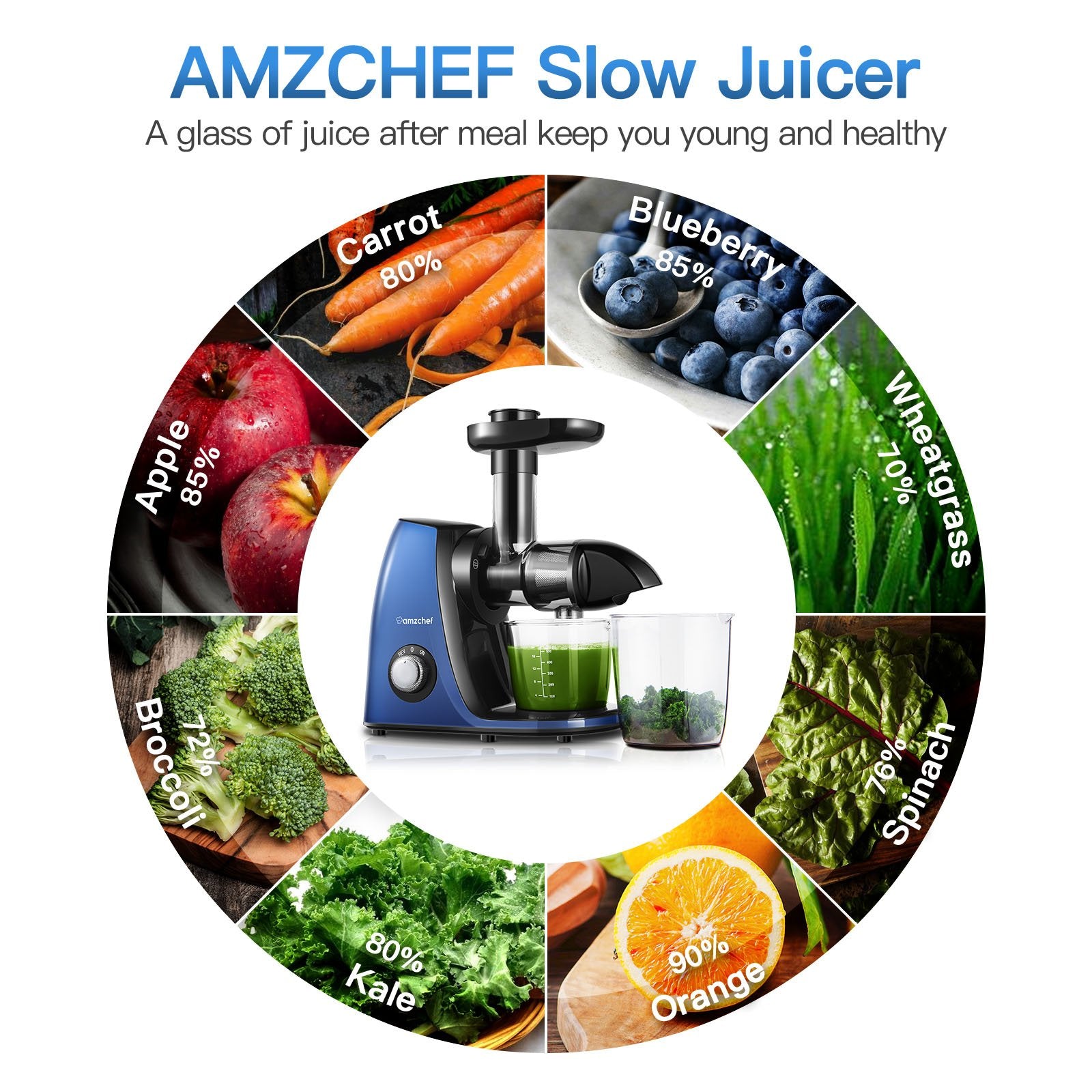 AMZCHEF Slow Juicer JS3005 Blue